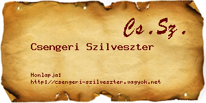 Csengeri Szilveszter névjegykártya